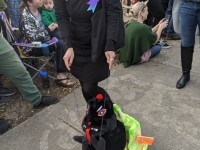 'tit Rəx 2020 - That's A Little Much