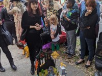 'tit Rəx 2020 - That's A Little Much