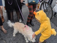 'tit Rəx 2020 - That's A Little Much