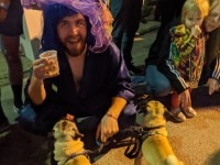 'tit Rəx 2020 - That's A Little Much