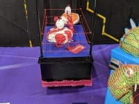 MVIMG_20200209_143020